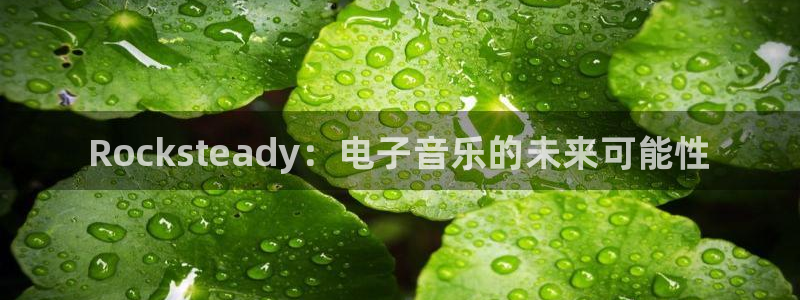 天美娱乐注册官方登录app：Rocksteady：电子音乐的