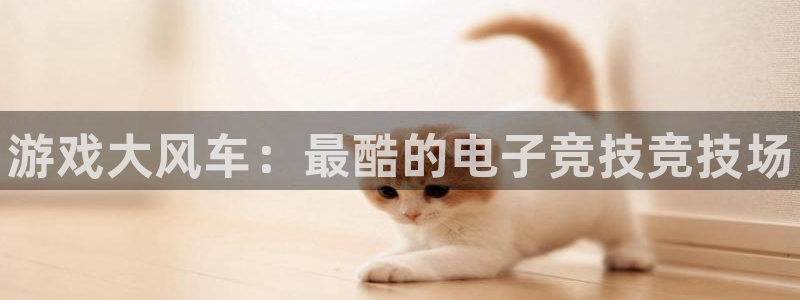 天美娱乐Ii：游戏大风车：最酷的电子竞技竞技场