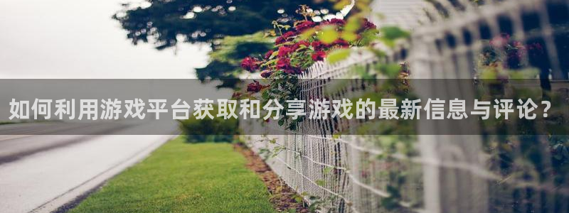 天美娱乐app：如何利用游戏平台获取和分享游戏的最新信息与评