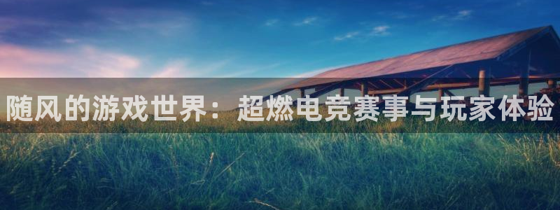 天美娱乐app下载地址：随风的游戏世界：超燃电竞赛事与玩家体