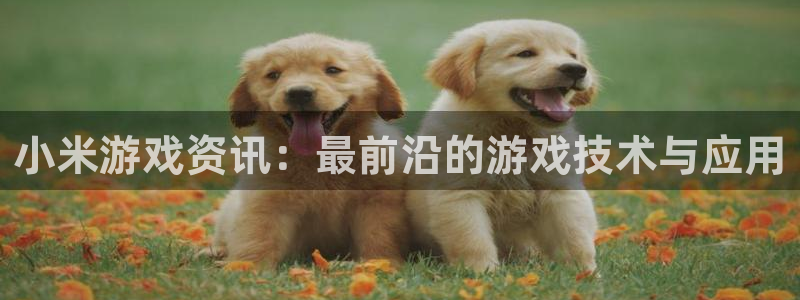 天美娱乐注册登录平台：小米游戏资讯：最前沿的游戏技术与应用