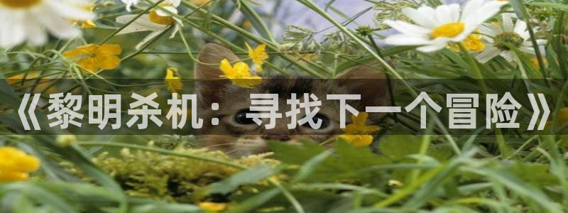 天美娱乐登陆：《黎明杀机：寻找下一个冒险》