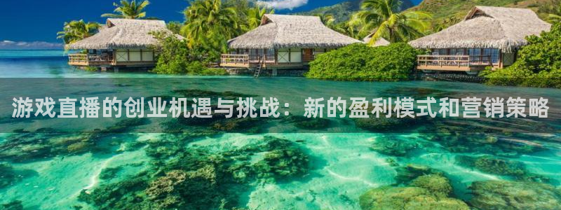 天美娱乐平台登录线路：游戏直播的创业机遇与挑战：新的盈利模式