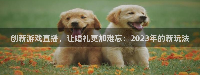 天美娱乐：创新游戏直播，让婚礼更加难忘：2023年的新玩法