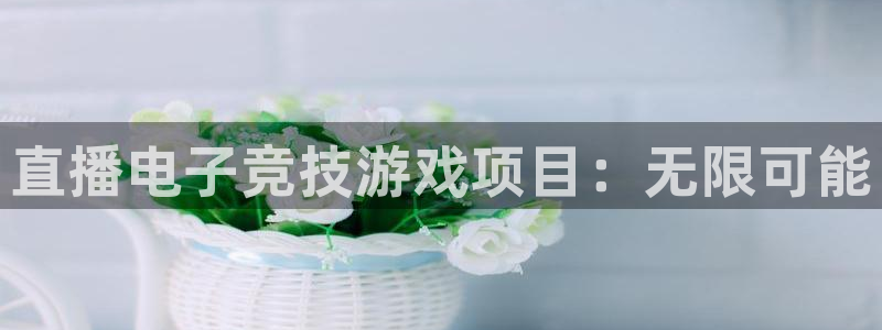 天美娱乐注册服务条款